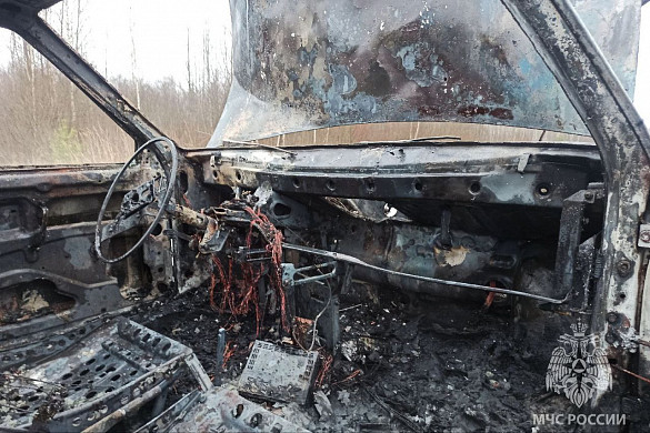 В Южском районе сгорел дотла автомобиль